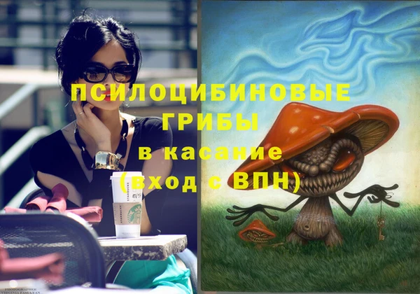 марки lsd Белая Холуница