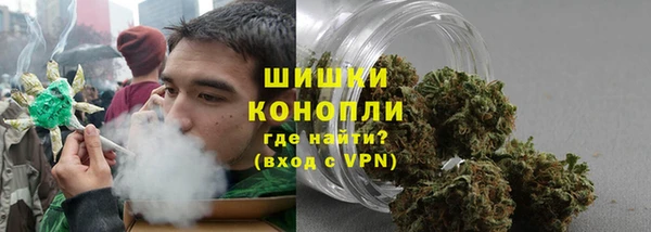 молекула духа Бежецк