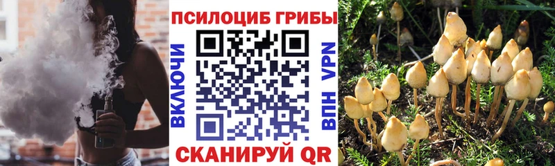 хочу   Таганрог  Псилоцибиновые грибы Magic Shrooms 